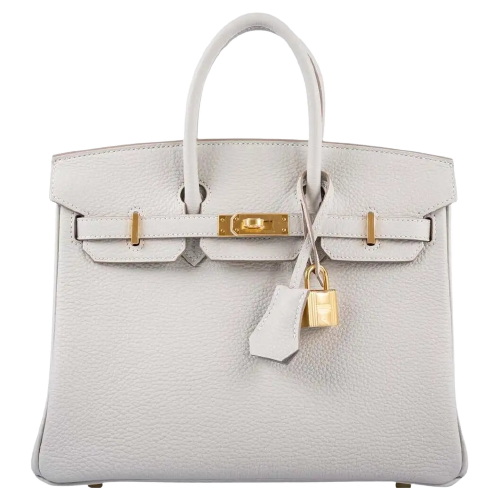 Hermès Birkin 25 Gris Perle Togo Gold Hardware Bag – Maxany